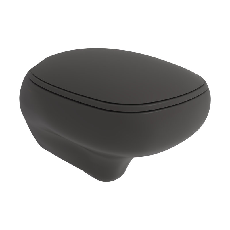 Fenice Rimless Wall Hung Toilet, Matte Anthracite