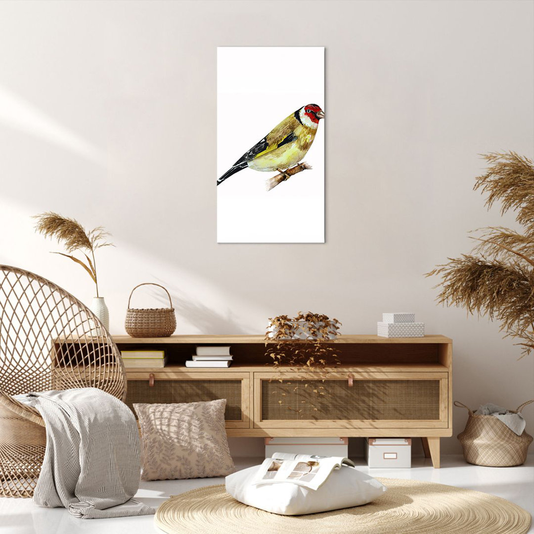 Leinwandbild Goldfinch Bird