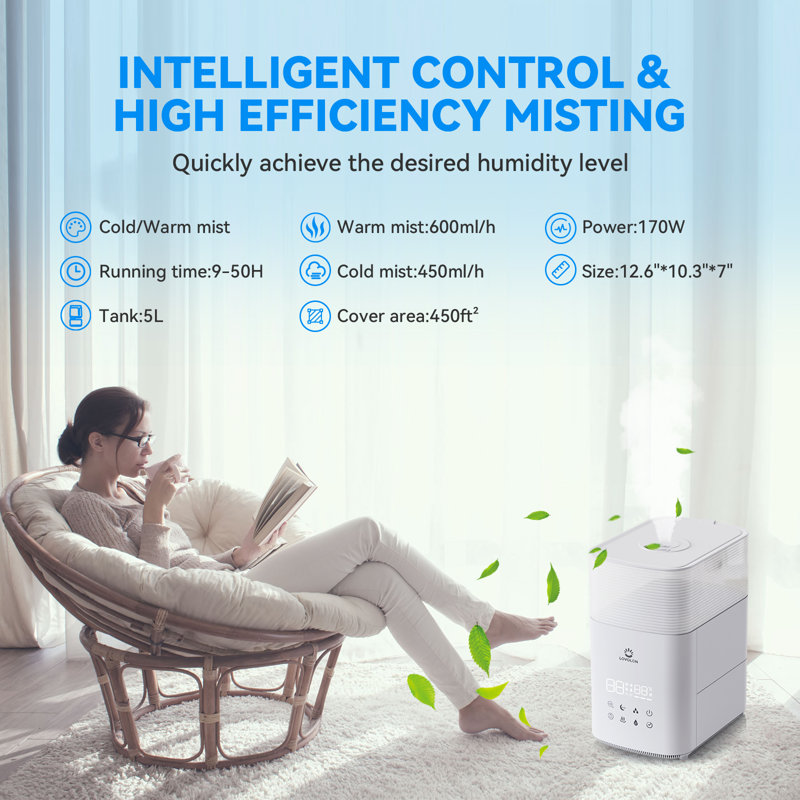 Humidificateur ultrasonique chaud et froid Lovolon