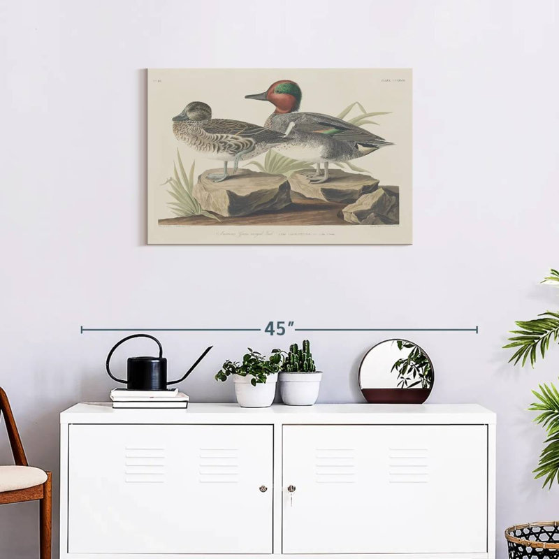 Winged Teal, 20" H x 30" W