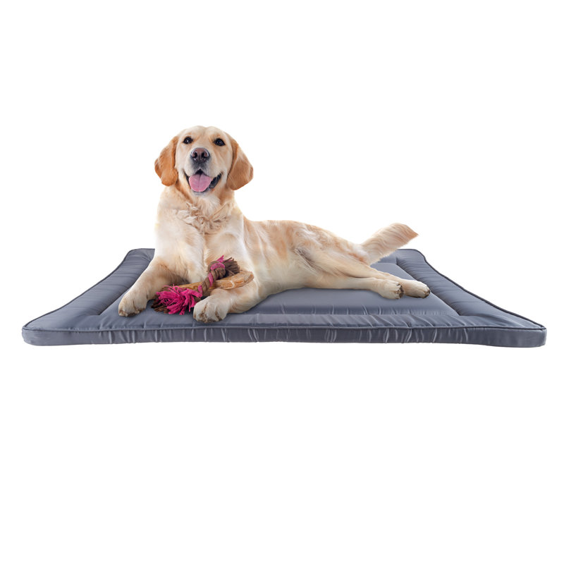 Coussin imperméable pour chien PETMAker - 38,75 po x 25 po, gris, Gris, Très grand (l 38,75 po x P 25 po x H 1,38 po)