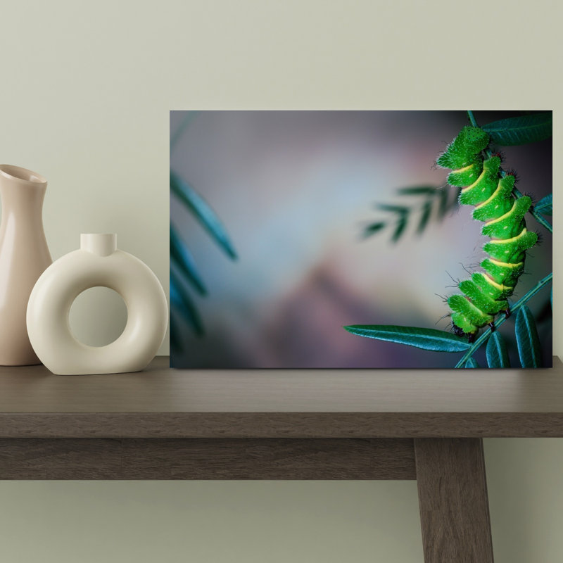 Vibrant Green Caterpillar Colorful Vibrant Animal Nature Wall Art Print 1 Piece Wrapped Canvas Wall Art