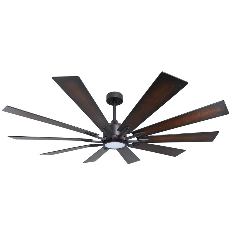 Kayeden 66'' Ceiling Fan with LED Lights