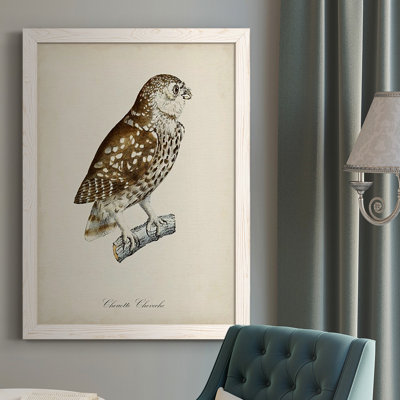 " French Owls I "