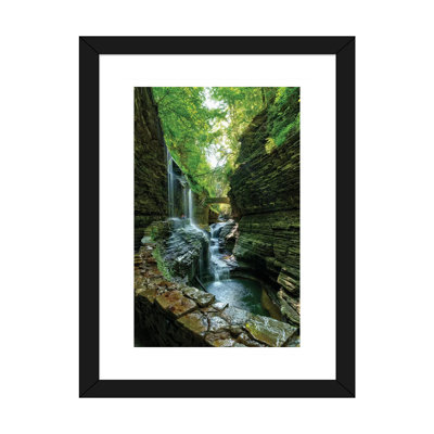 " Rickets Glen " by David Gardiner