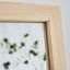 Miroir Quinnisha-1487796597-1487627302-1478169085