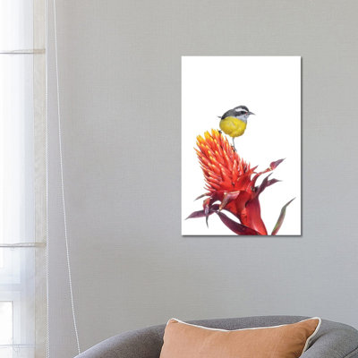 Bananaquit on flower, argentina 1 Piece Wrapped Canvas Wall Art