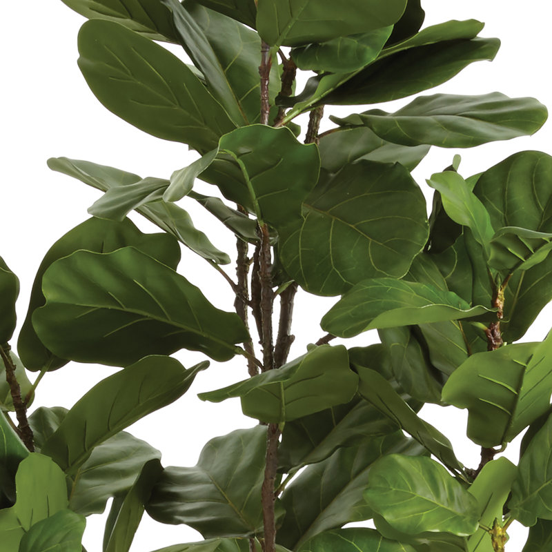 79'' Faux Fiddle Leaf Fig Tree in Ceramic Pot