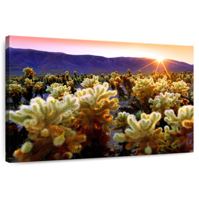 Joshua Tree National Park I