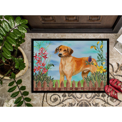 Non-Slip Outdoor Doormat