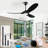 3 - Blade Modern Solid Wood Ceiling Fan With Light And Remote Control-190858502-192918386