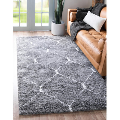 Burkart Trellis Shag Area Rug