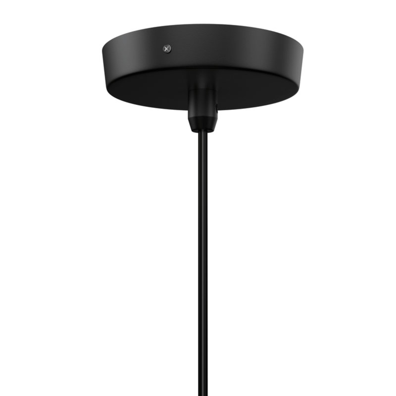 Industrial Style Matte Black Pendant Light Fixture