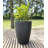 Amsterdan Pot Planter-50341599-50346400