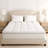 Macy Pillow Top Mattress Topper - Plush and Supportive Baffle Box Down and Duck Featherbed with Gusset and Cotton Cover-1423693649-1394450023