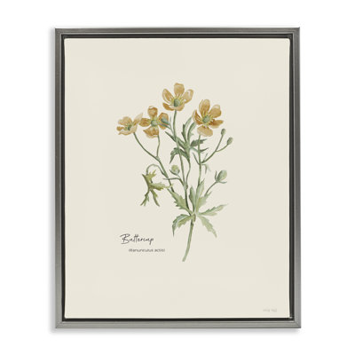 «Simple Buttercup Flowers» par Cindy Jacobs
