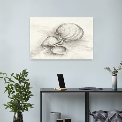Seashells Resting On Sand Abstract Contemporary Wall Art