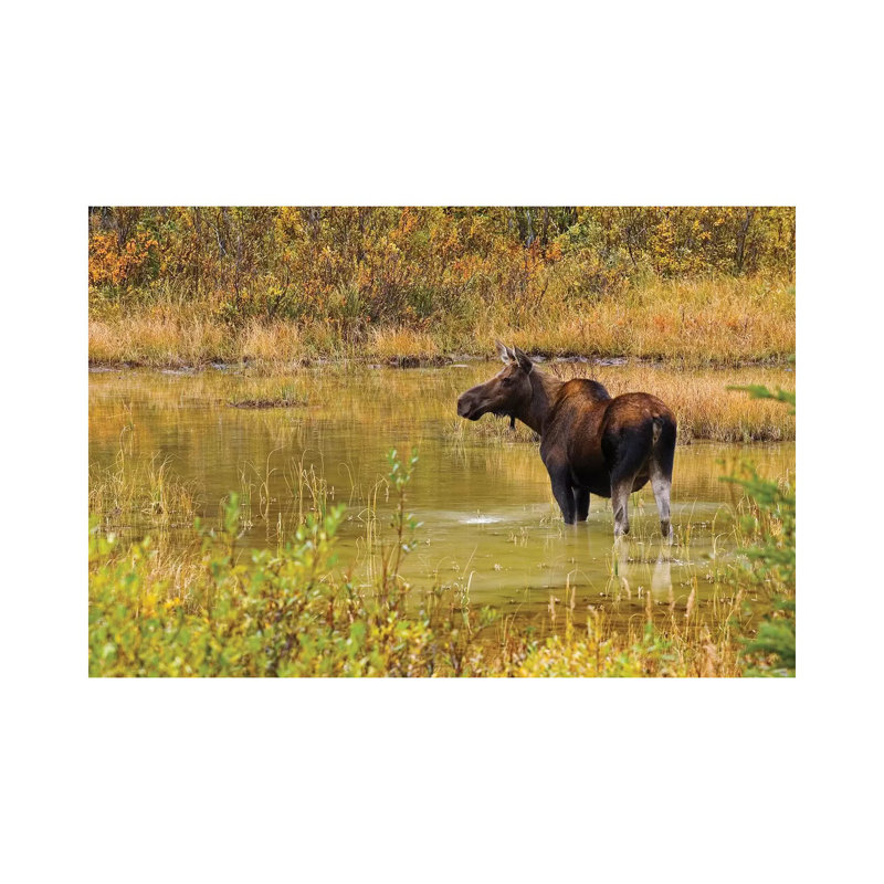 Canada, Alberta, Kananaskis Country 1 Piece Wrapped Canvas Wall Art, 45.72cm H x 66.04cm W x 1.905cm D