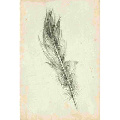 Croquis de plumes IV