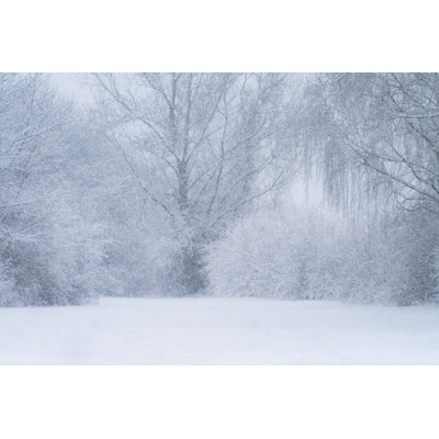 Snowy Landscape - Wrapped Canvas Print