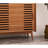Simple Small-Sized Shoe Storage Cabinet
