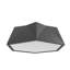 Physalis 1 - Light Flush Mount-68652236-99923265