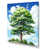 Toile tendue