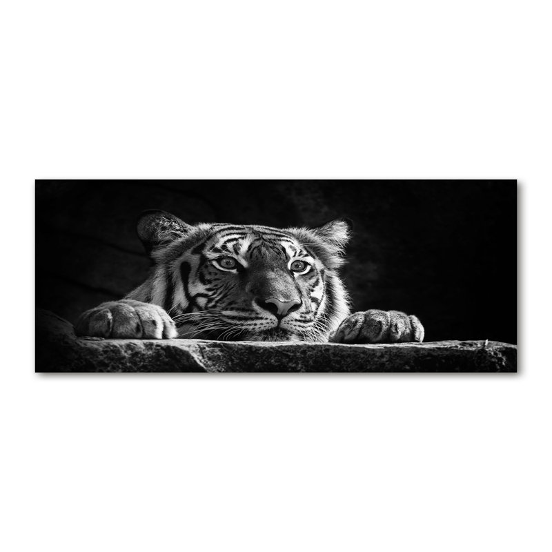 Tiger - No Frame Print on Canvas