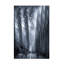 Art sur toile, "Bachelo" par Stefan Kierek-109321331