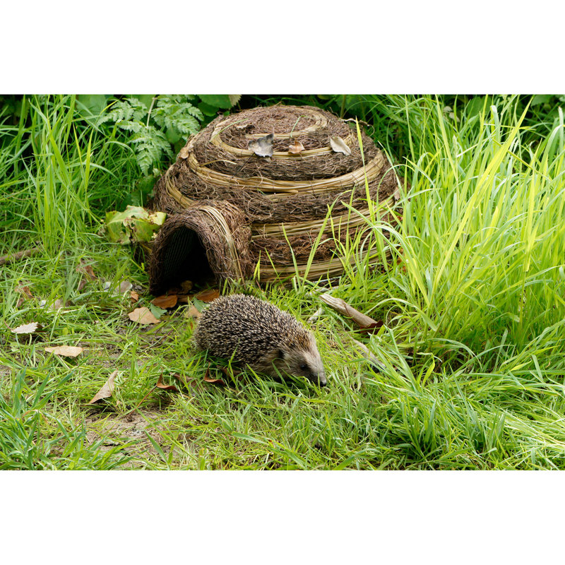 Liseron Freestanding Hedgehog House