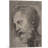 " Head Of An Apostle In The Transfiguration 1520 " by Raphael-55996881