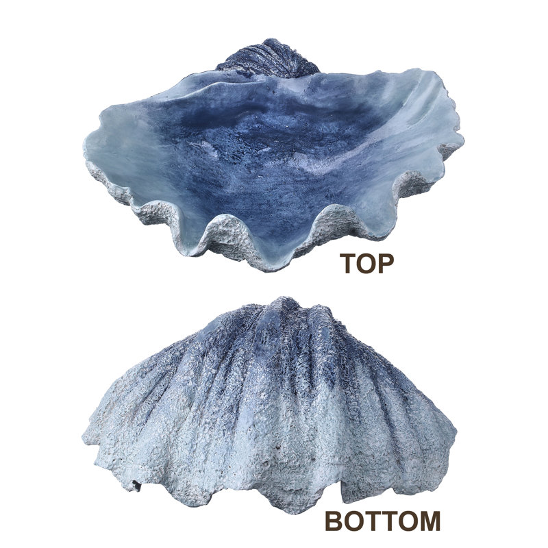 12" Resin Open Scallop Shell