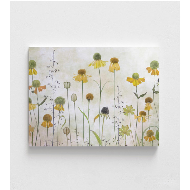 Wild Meadow Blooms - reproduction d'art botanique douce, H 12 po x l 16 po, Ne s’applique pas, Impression sans cadre