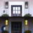 Juno Iron LED Wall Light