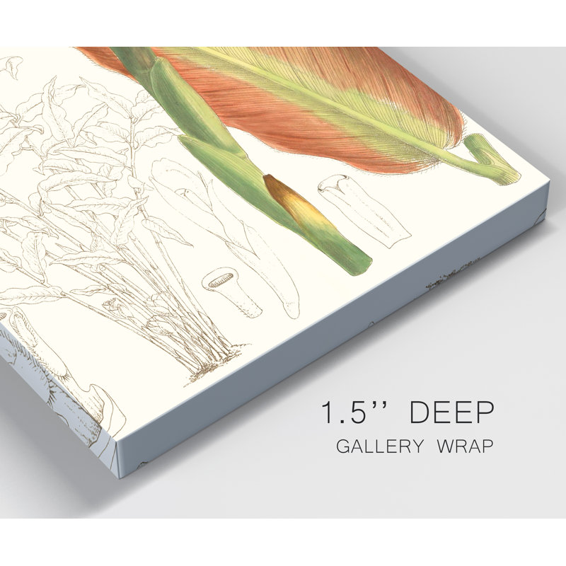 Reproduction d’art sur toile tendue « tropical Variety VII », H 12 po x l 8 po x P 1 po