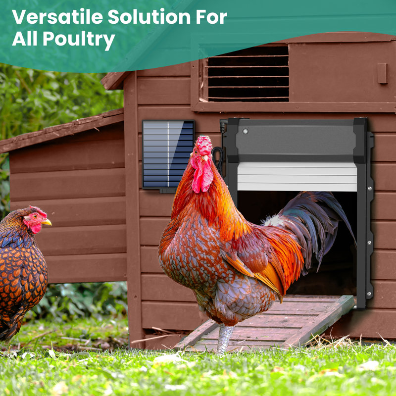 Automatic Chicken Coop Door With Timer & Light Sensor