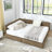 Storage Upholstered Tufted Bed Frame, Sofa Bed Frame With Comfortable Backrest And Armrests, Bed For Bedroom, Living Room,Velvet-289773377