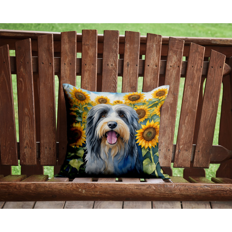 Other/No Pattern Outdoor Throw Pillow, 14" H x 14" W