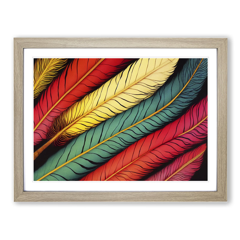 Colourful Bird Feathers Vol.1 - Framed Print, 46cm H x 64cm W x 2cm D, Oak