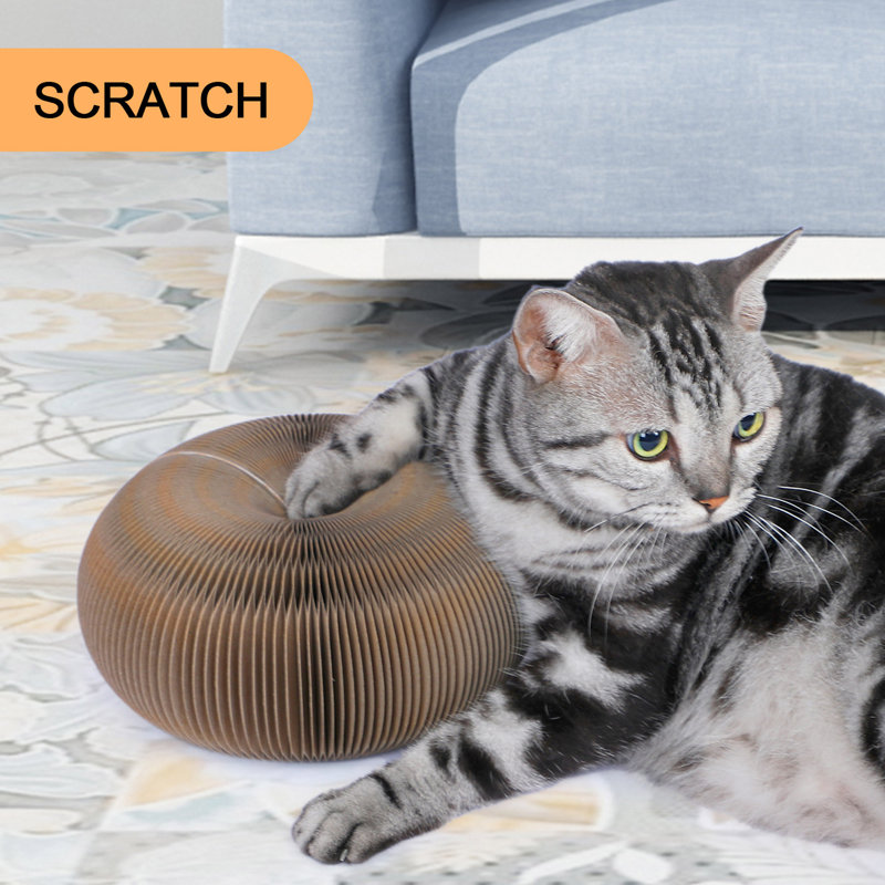 Magic Organ Cat Scratching Board