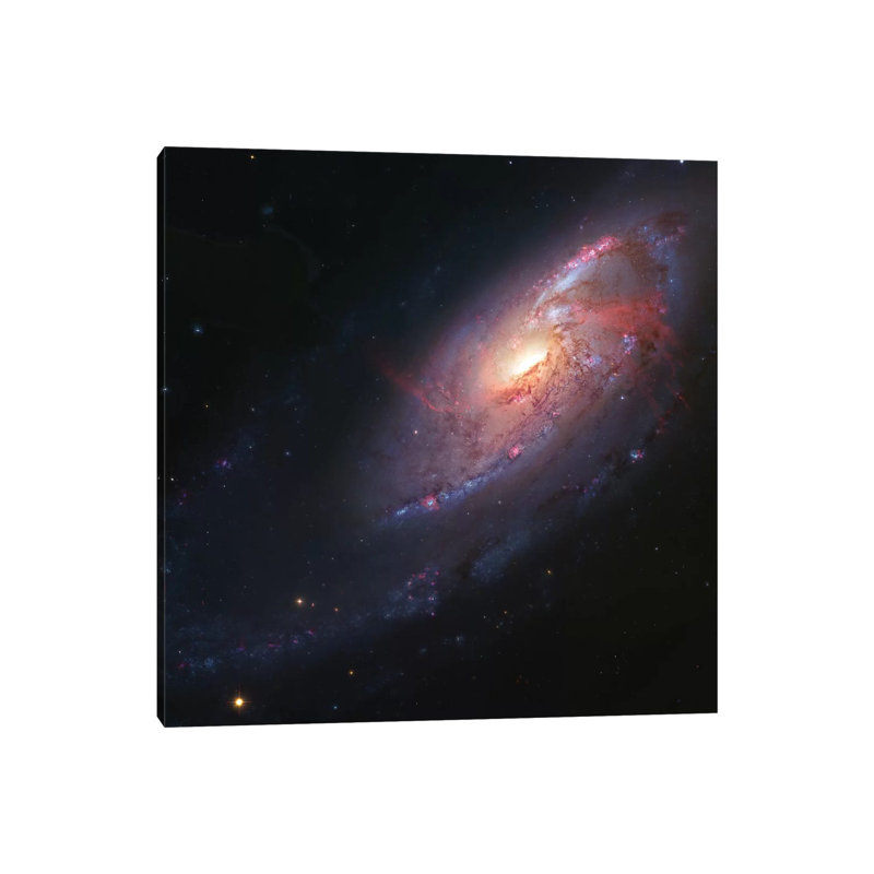 M106, Spiral Galaxy In Canes Venatici I by Robert Gendler - Wrapped Canvas Print, 66.04 cm H x 66.04 cm W x 3.175 cm D