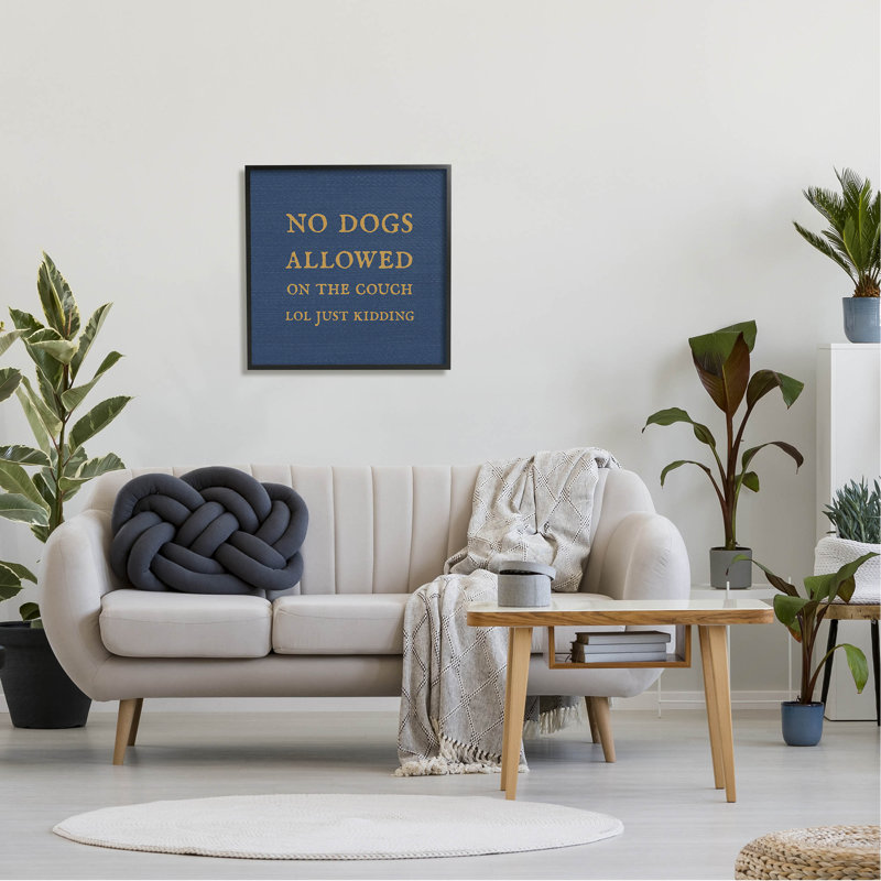 Drôle «no dogs permis at-072», H 24 po x l 24 po x P 1,5 po, Giclée encadrée noir minuit