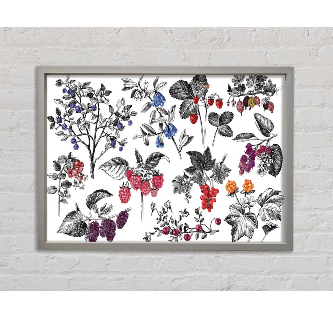 Collage aus Blumen und Beeren - Druck