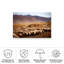 «Desert Sheep Herd on Canvas» par Murat Cacim, reproduction-862096075