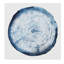 «Tree Ring Overlay I» par Grace Popp - reproduction d'art sur toile-1955063720