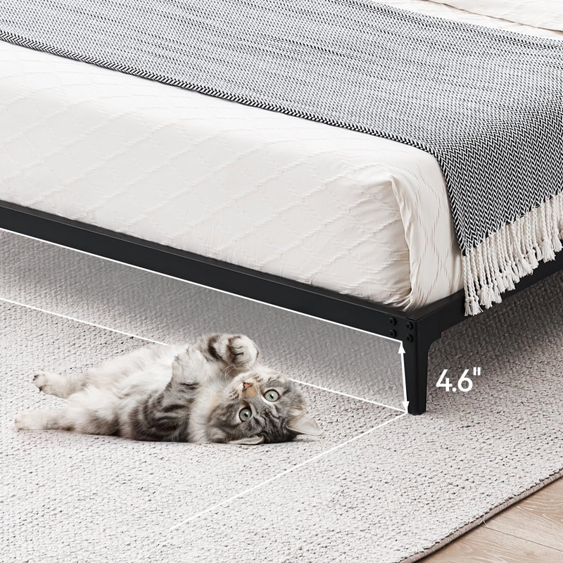 Iwen 4.6'' Bed Frame, Black, Full