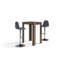 Fauziah Dining Table-193492009