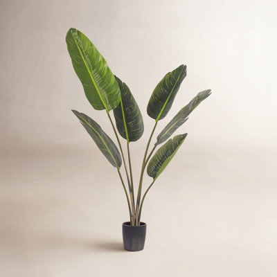 Jorah Palm Tree with Base Included