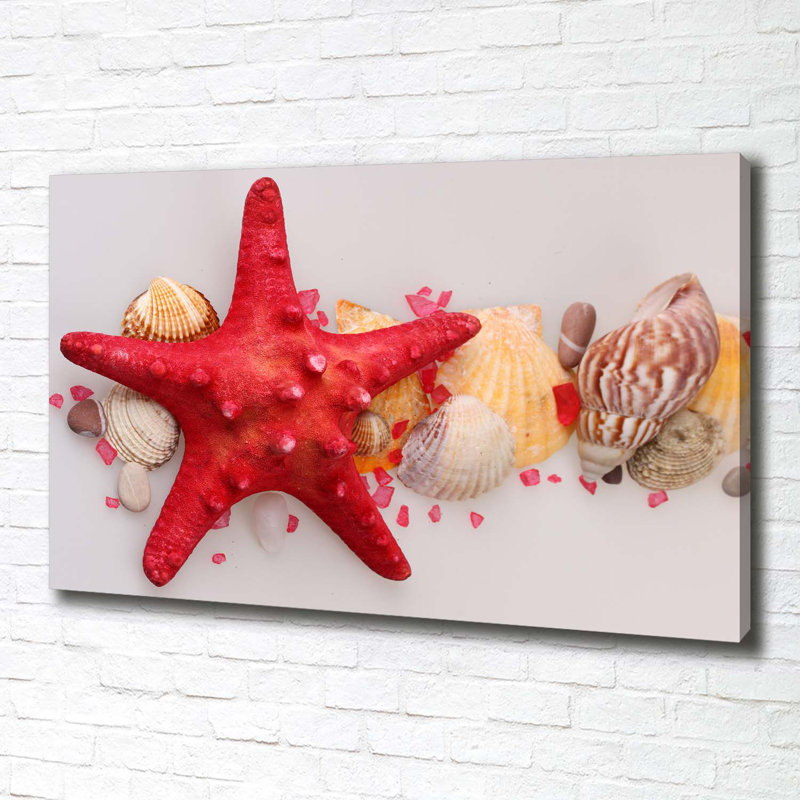 Starfish And Shells - Wrapped Canvas Print