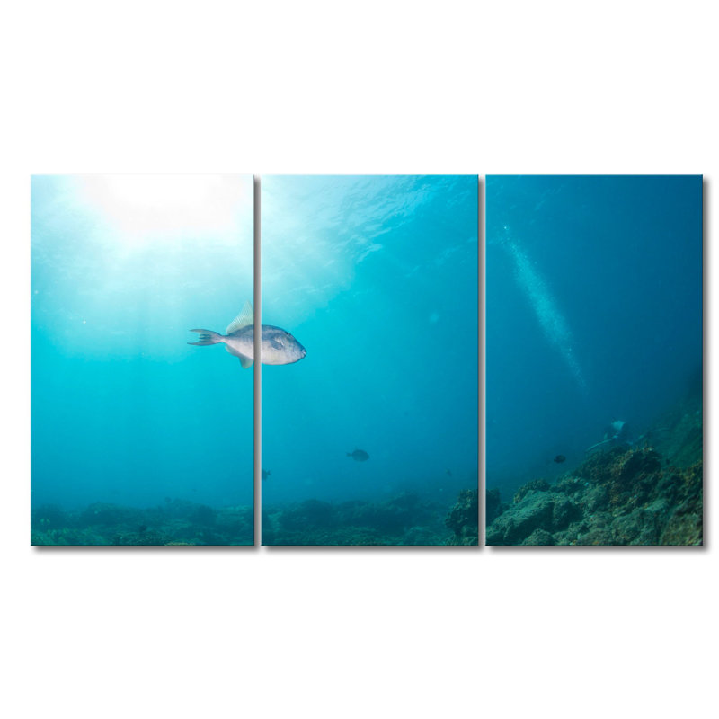 3 Piece Stretched On Wooden Frame Print on Canvas